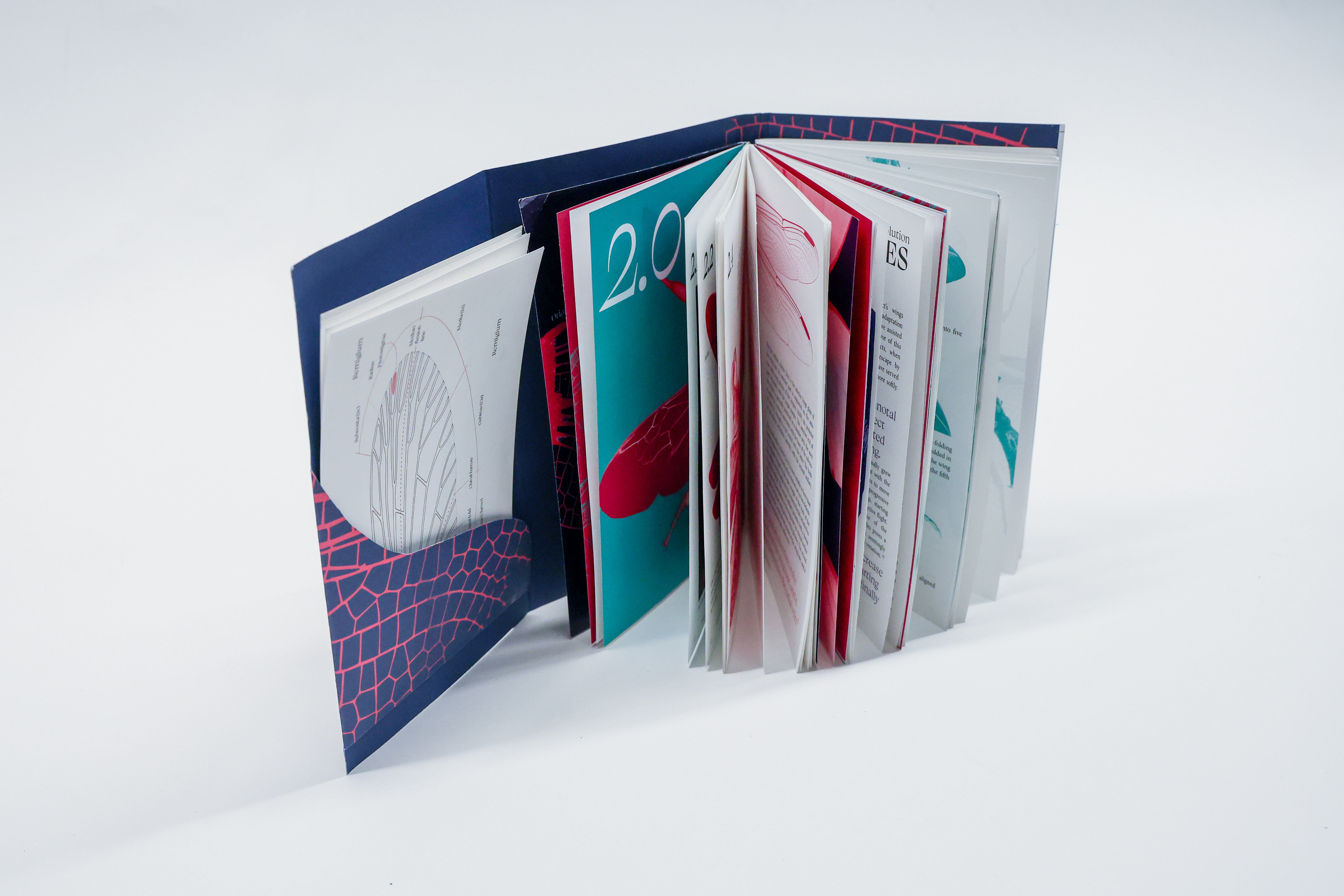 Insect Wings book